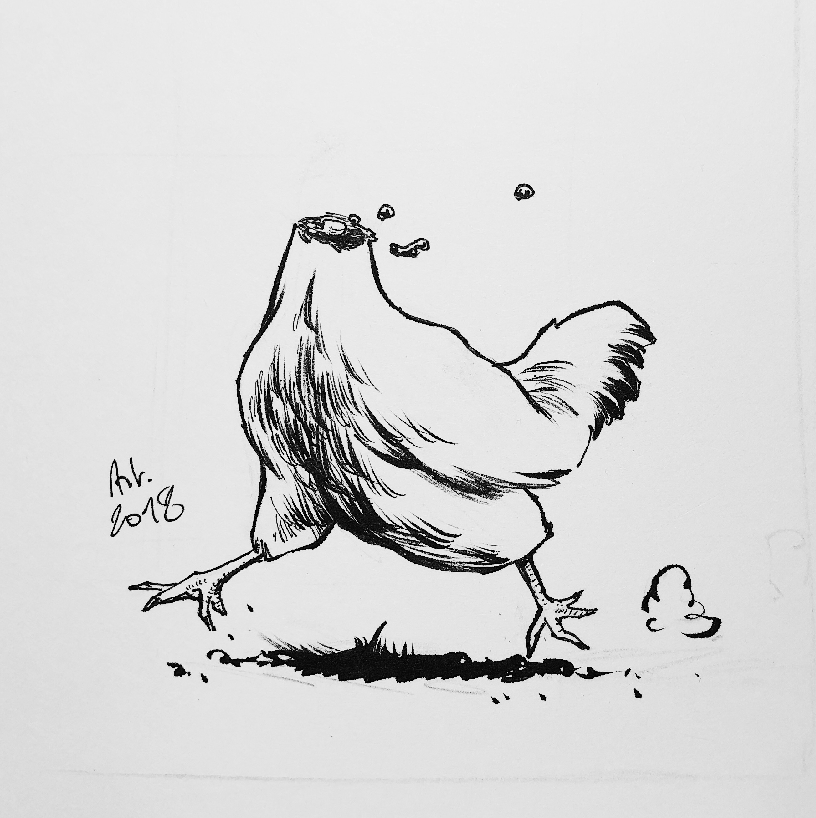 Chicken